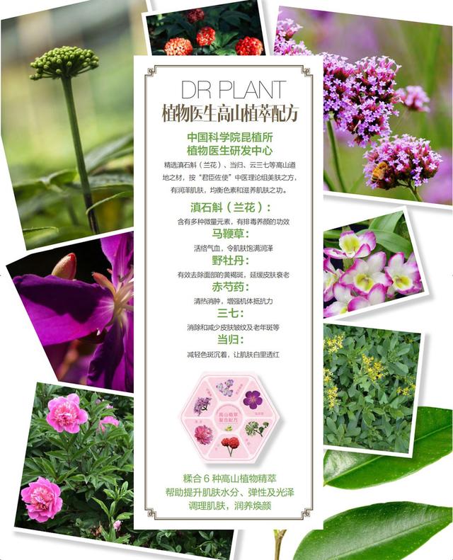 大健康品牌营销策划诠释「植物医生」业绩逆增长10%之道2.jpeg