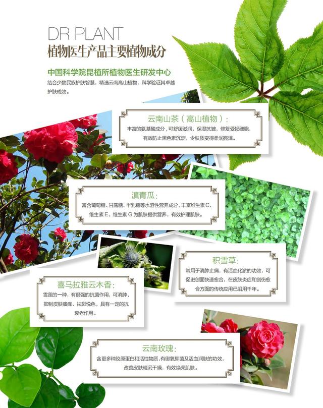 大健康品牌营销策划诠释「植物医生」业绩逆增长10%之道3.jpeg
